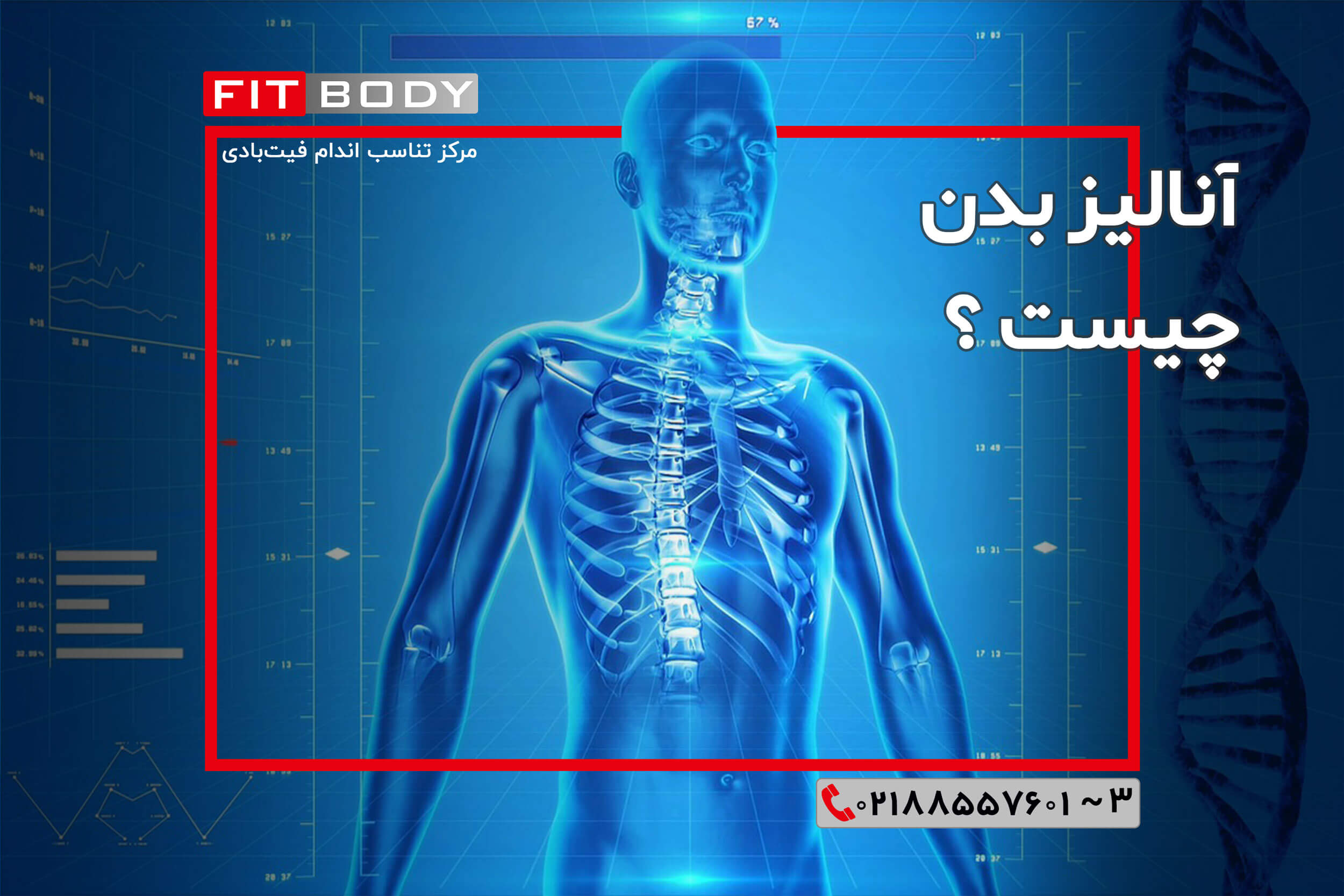بادی کامپوزیشن