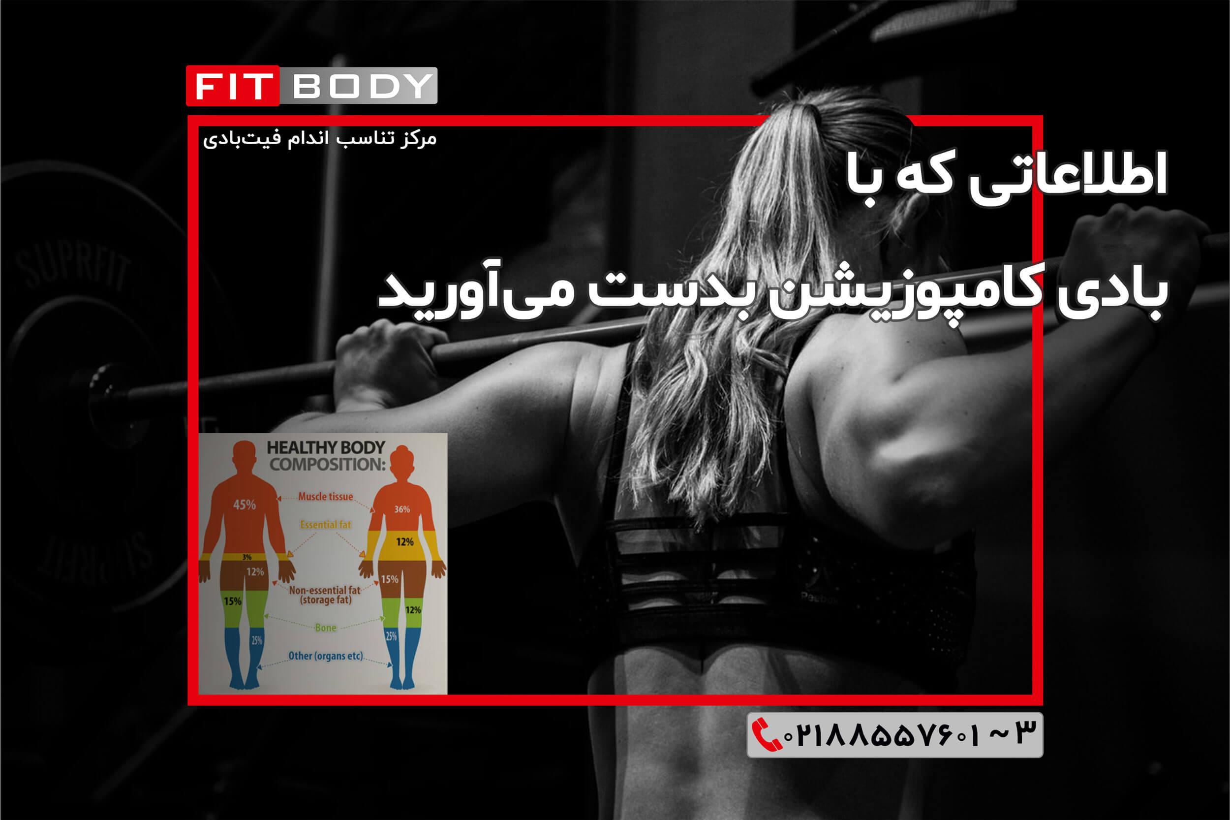 اطلاعات بادی کامپوزیشن