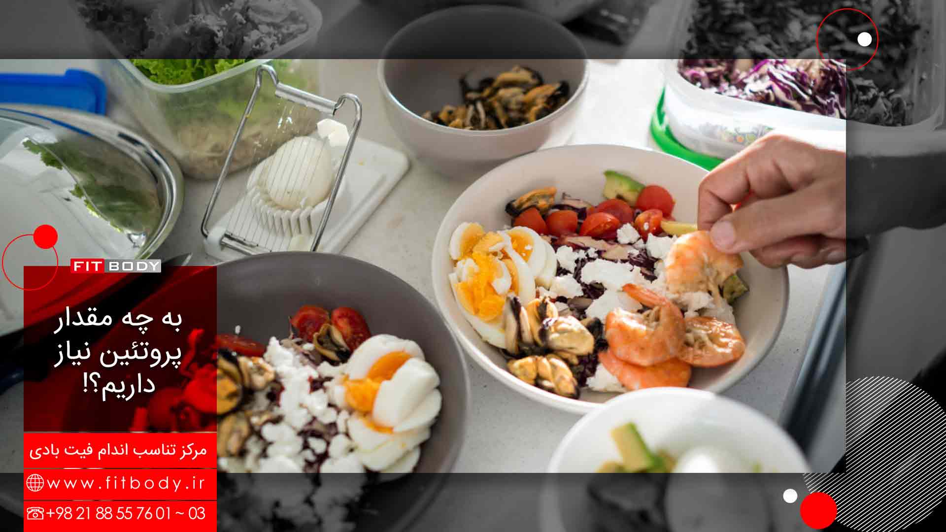 پروتئین مورد نیاز بدن و سلامتی