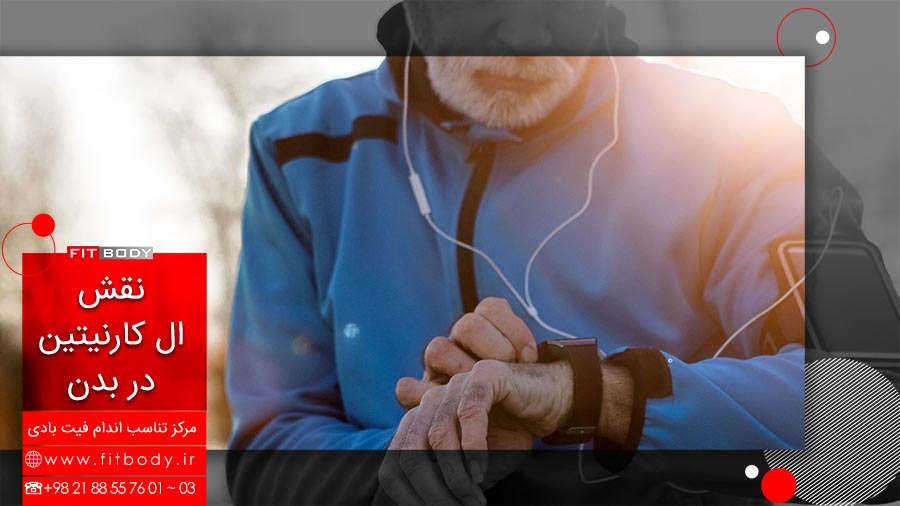 ال کارنتین و نقش آن در بدن