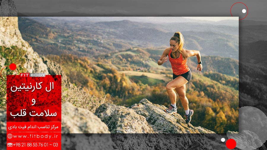 ال کارنتین و سلامت قلب