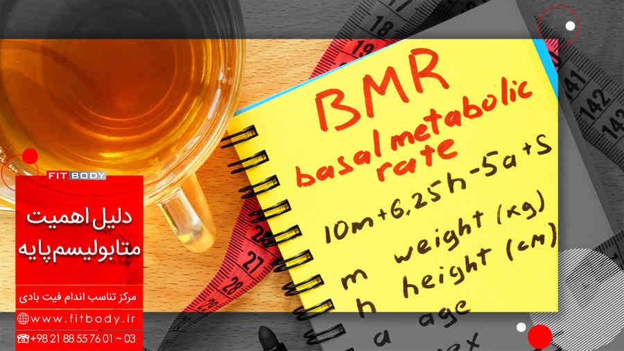 اهمیت متابولیسم پایه