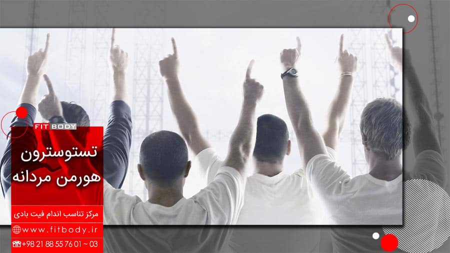 افزایش طبیعی تستوسترون