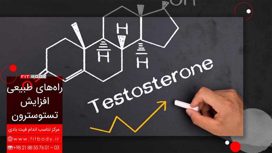 راه افزایش طبیعی تستوسترون