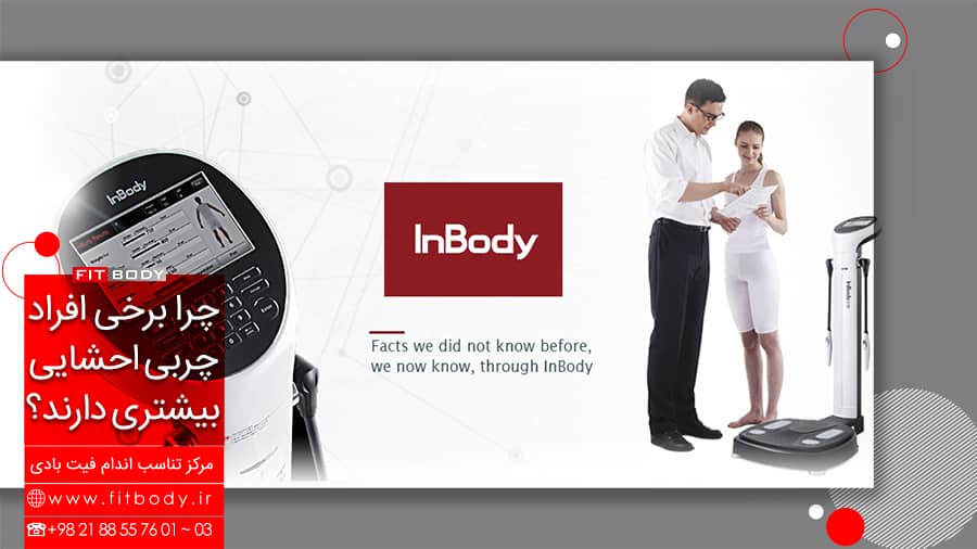 افرادی با چربی احشایی بالا