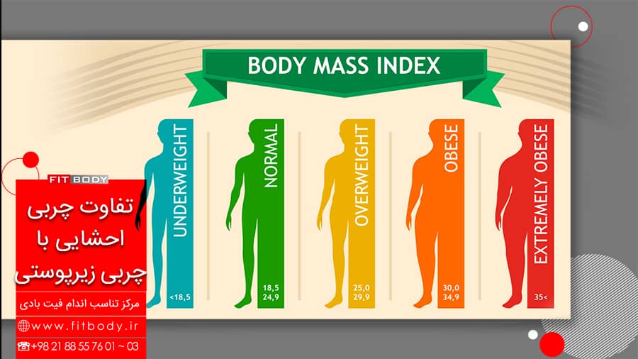 تفاوت چربی احشایی با چربی زیر پوست