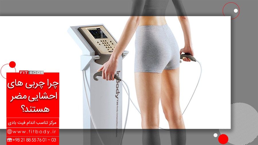 مضررات چربی احشایی